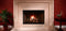 Heatilator Reveal Gas Fireplace