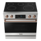 Thor Kitchen 36-Inch Professional Electric Range with Tilt Panel Touch Control in Stainless Steel with Rose Gold Trim (RSE36-RSG)