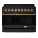 Thor Kitchen 48-Inch Professional Gas Range with Double Oven in Black with Bronze Trim RSG48EB-BRZLP