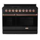 Thor Kitchen Gordon Ramsay Series 48-Inch Professional Gas Range with Double Oven in Black with Rose Gold Trim (RSG48EB-RSG)