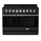 Thor Kitchen 48-Inch Professional Gas Range with Double Oven in Black with Stainless Steel Trim (RSG48EB-SS)