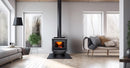 True North TN25C 22" Metallic Black Vented Wood Burning Stove With Legs, EPA2020 Certified