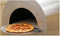 Vermont The Pizza Pro Wood fired Bake Oven