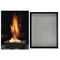 Empire Forest Hills 27 Portrait Style Contemporary Direct Vent Gas Fireplace DVLL27