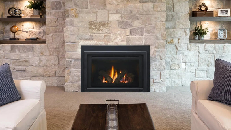 Heat & Glo 30" Provident Indoor Gas Fireplace Insert