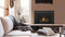 Heat & Glo 30" Provident Indoor Gas Fireplace Insert