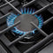 Thor Kitchen 30-Inch Gas Range with 5 Burners, 4.55 cu. ft Oven in Stainless Steel LRG3001ULP